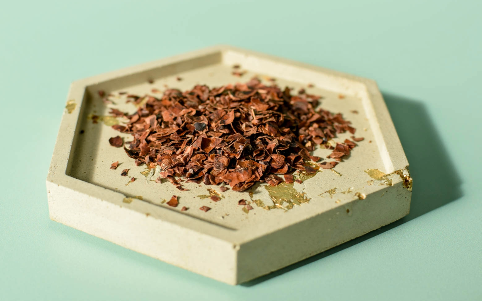 Écale de cacao : une rencontre entre les saveurs boréales et l'économie circulaire