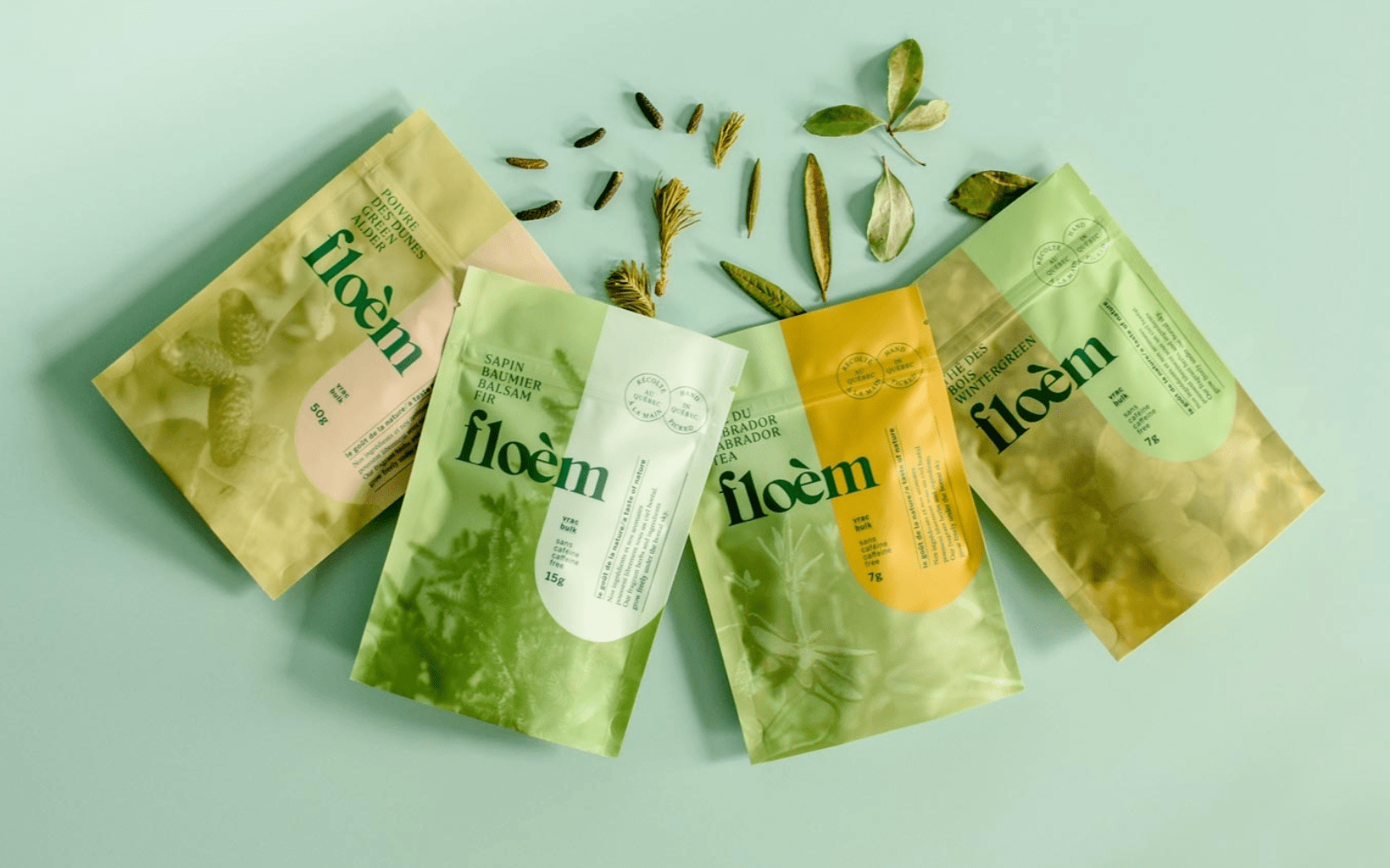 Thé du Nord : Floèm, les artisans du vivant, révèlent les saveurs boréales - Floèm