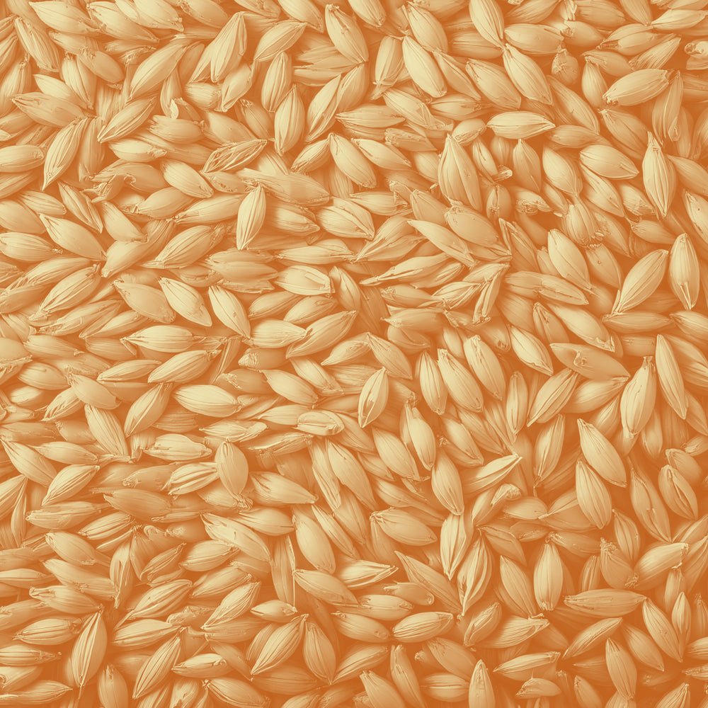 Thé & tisane au goût malté - Floèm