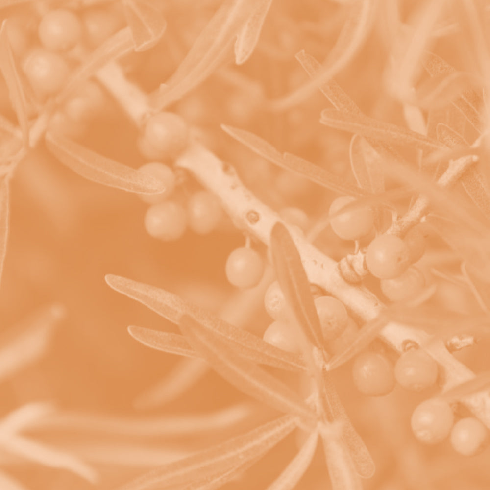 Goût de thé agrume