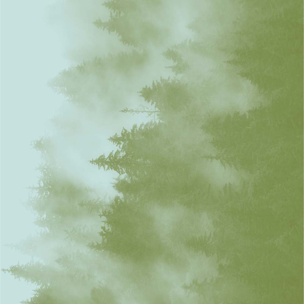 Goût de thé boisé