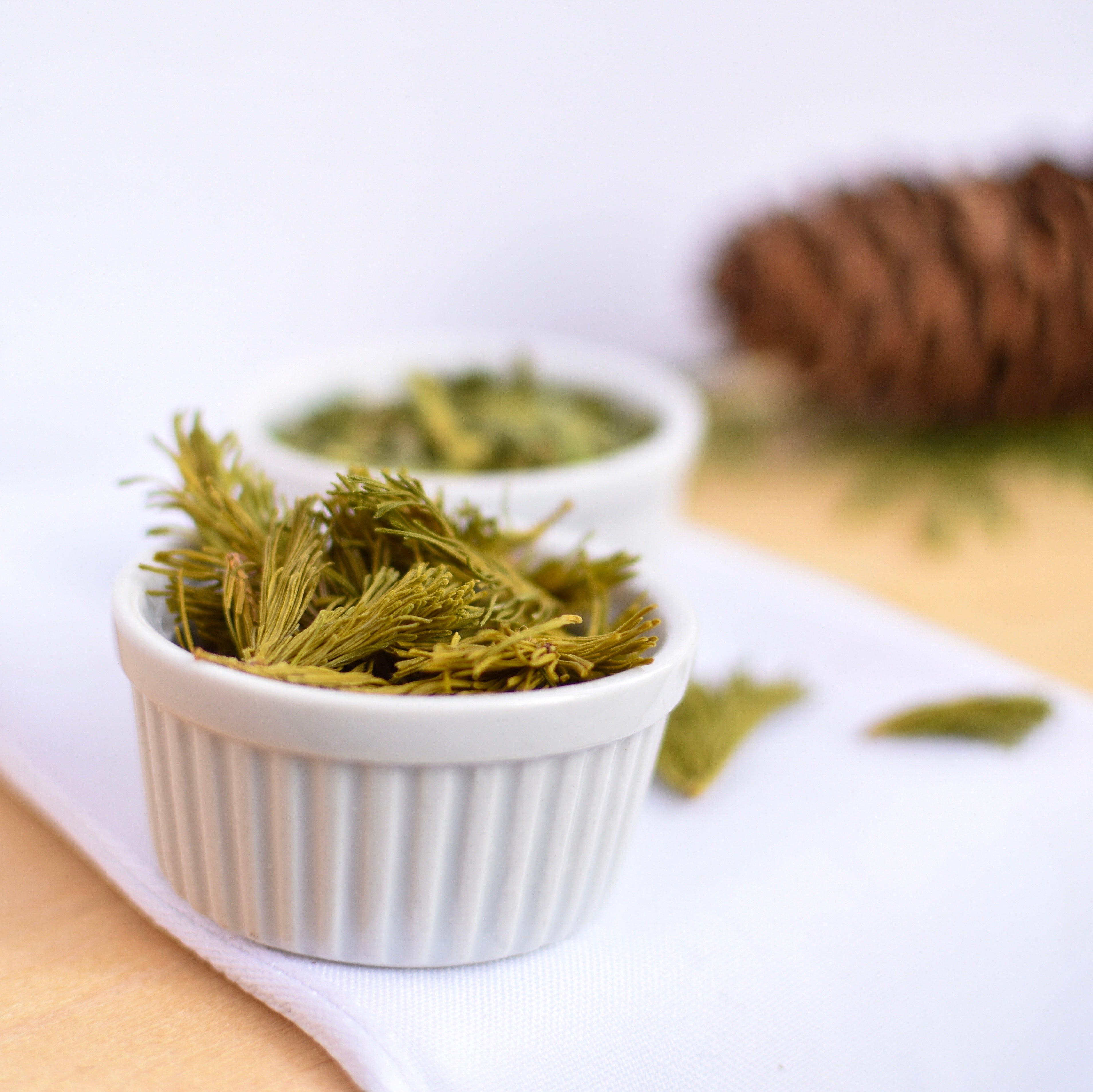 Balsam Fir