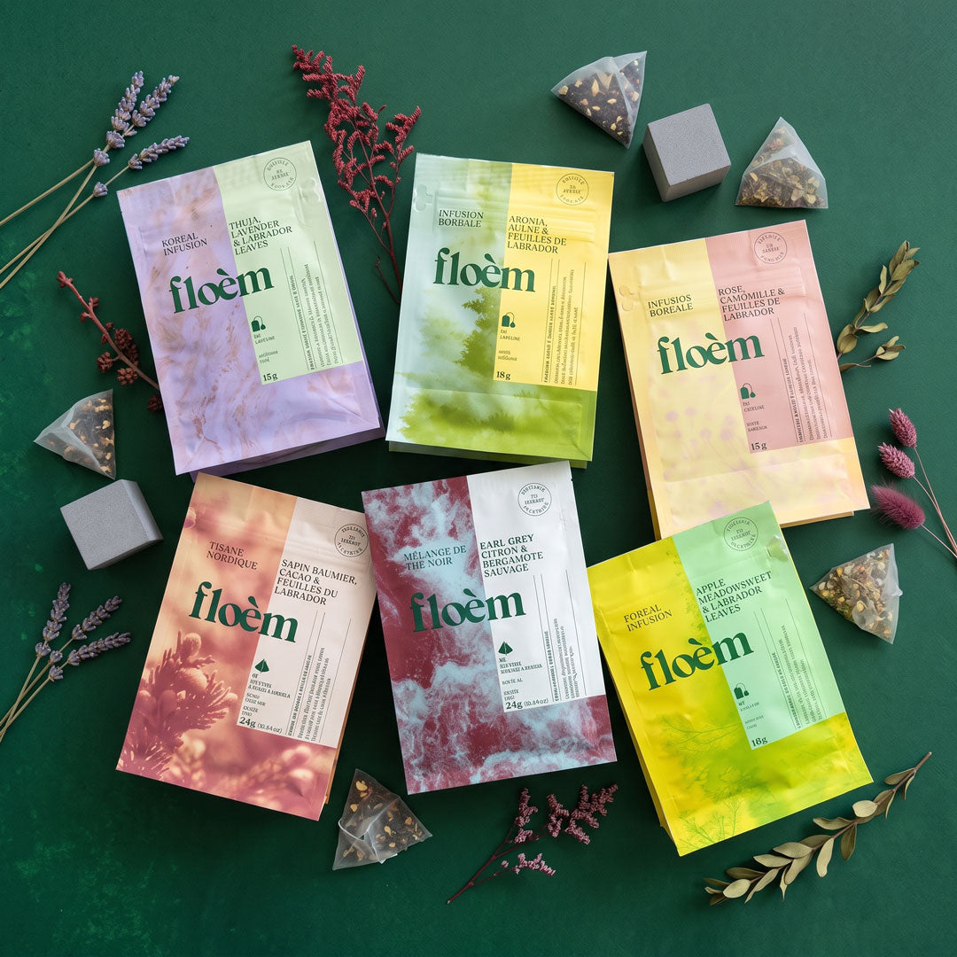 The Daily Ritual Set - 6 tea bags