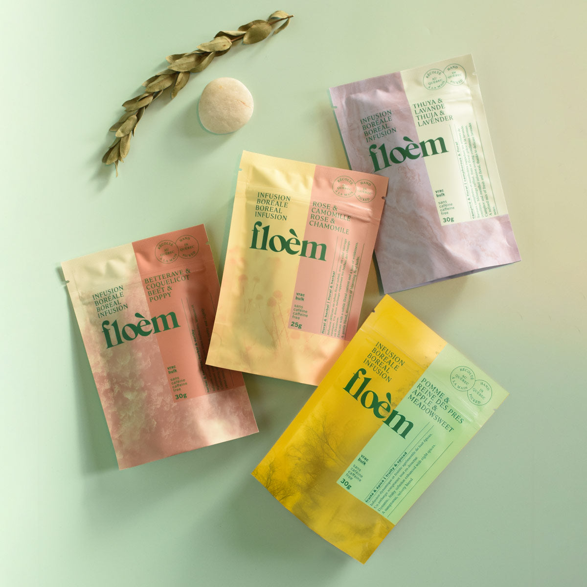 Tisane - Ensemble Relaxation - Tisane - Floèm