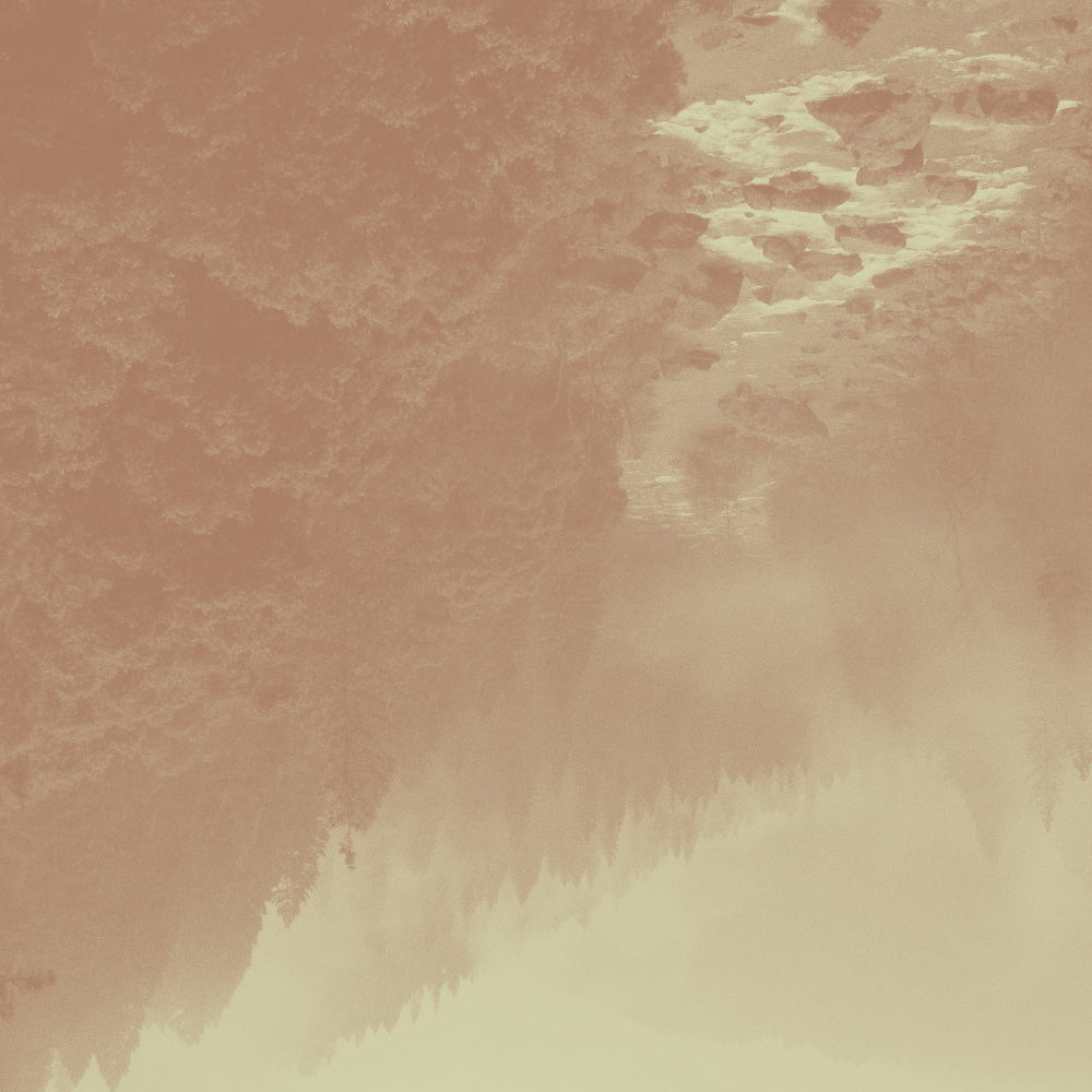 Goût de thé épicé