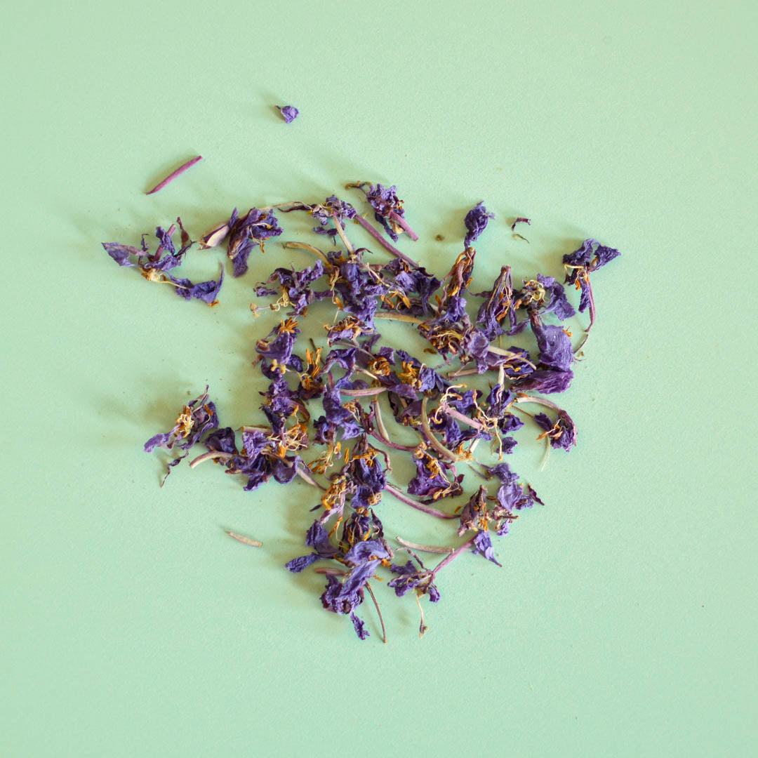 Fleur d'Épilobe séché