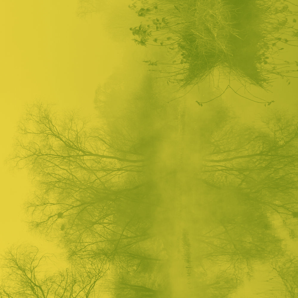 Goût de thé fruité