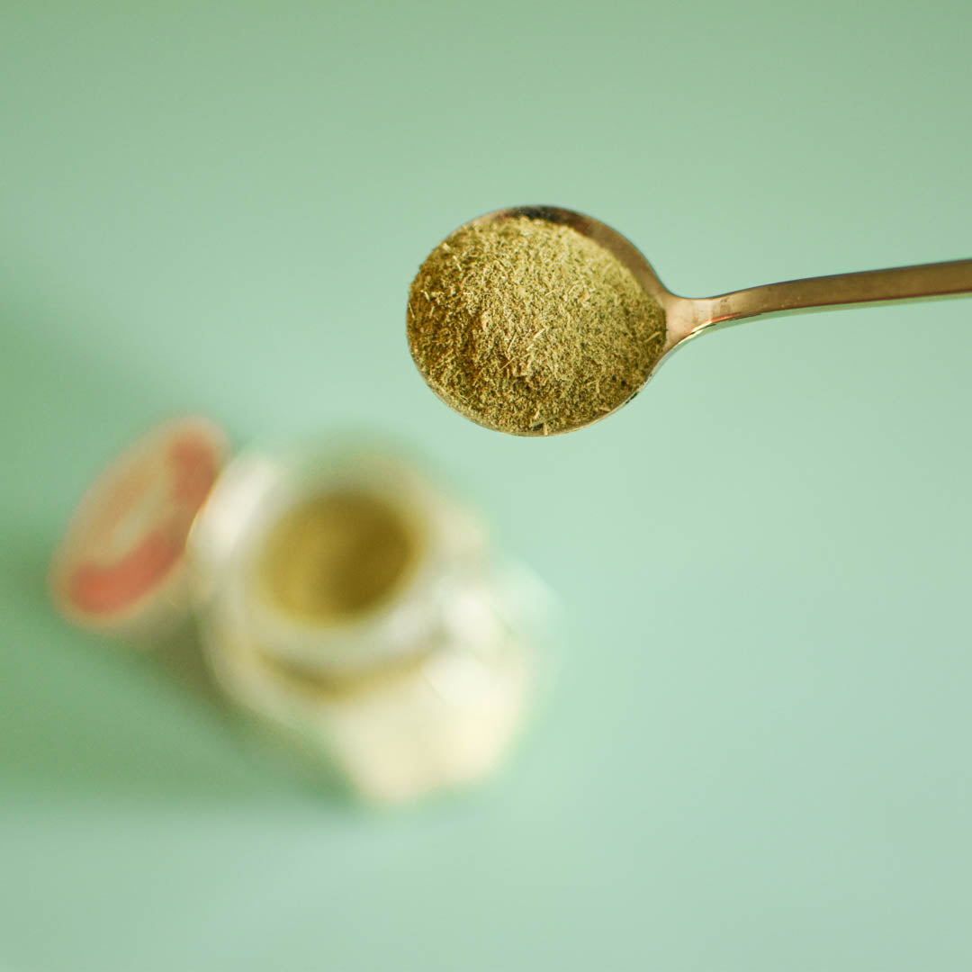 Mélilot en poudre séché avec cueillère et pot