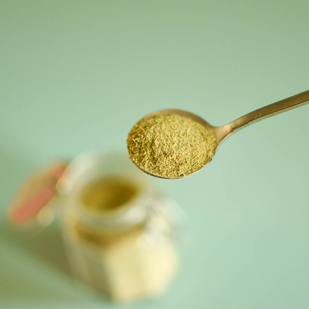 Mélilot en poudre séché avec cueillère