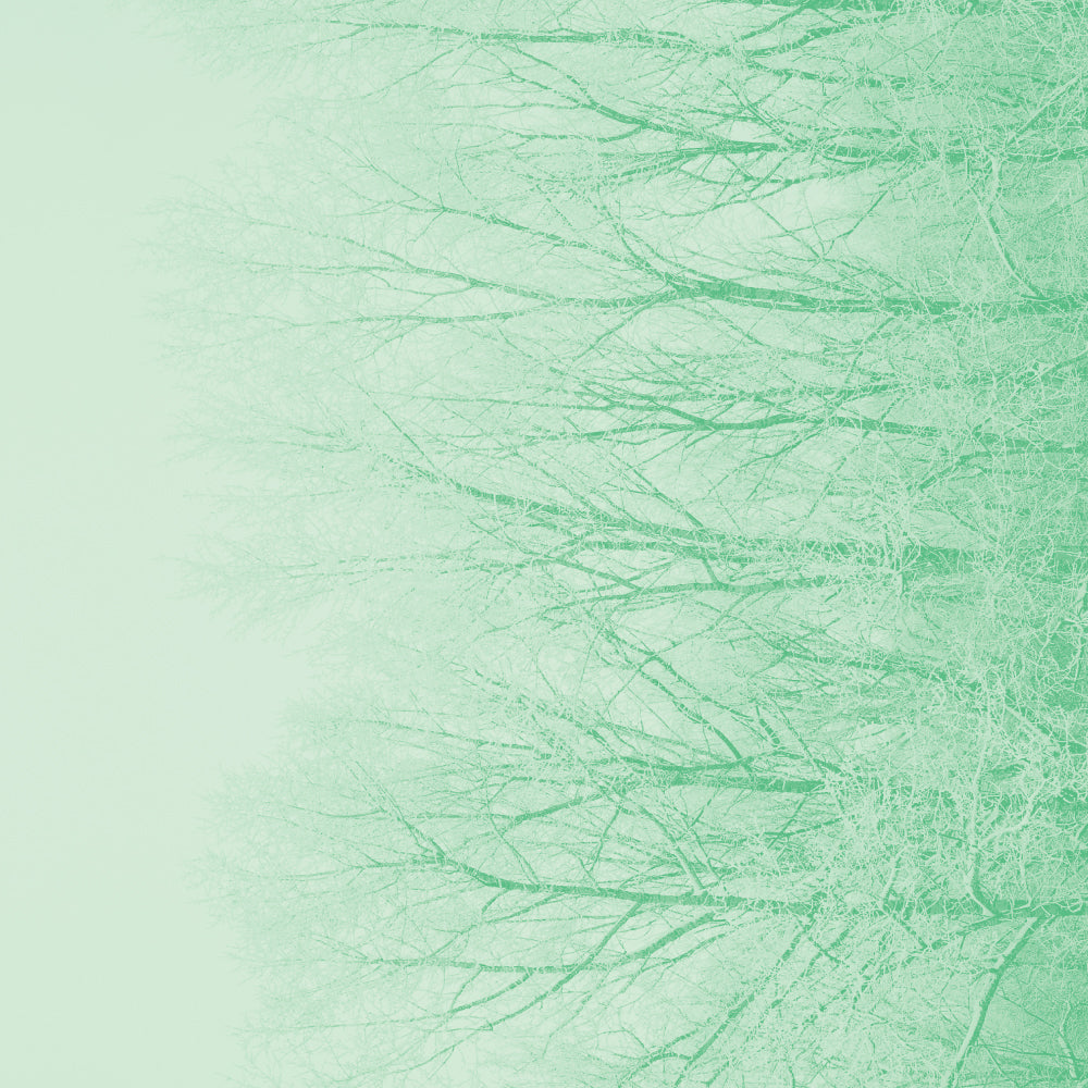 Goût de thé minéral