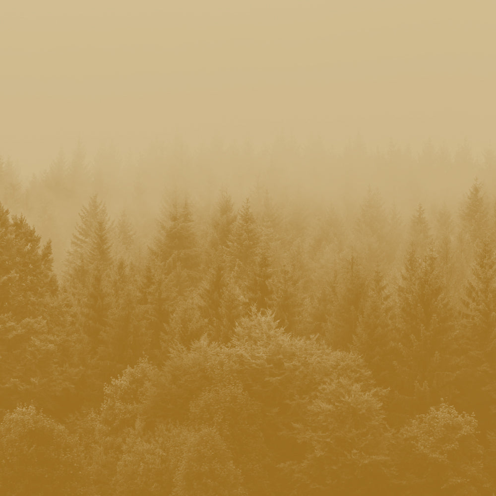 Goût de thé musqué