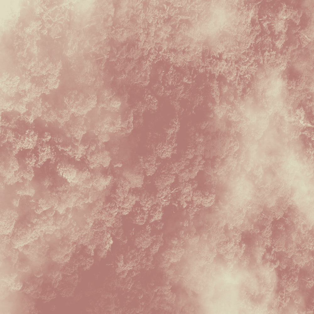 Goût de thé terreux