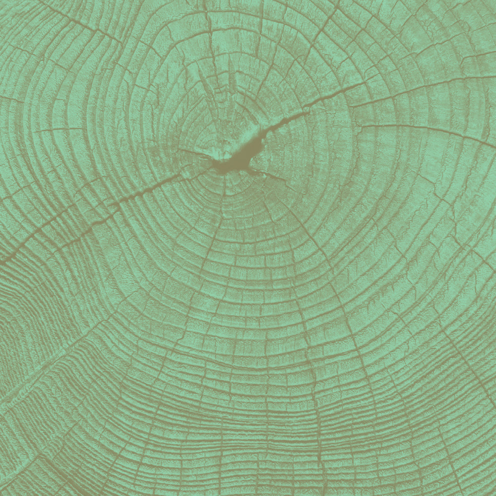 Goût de thé vegetal