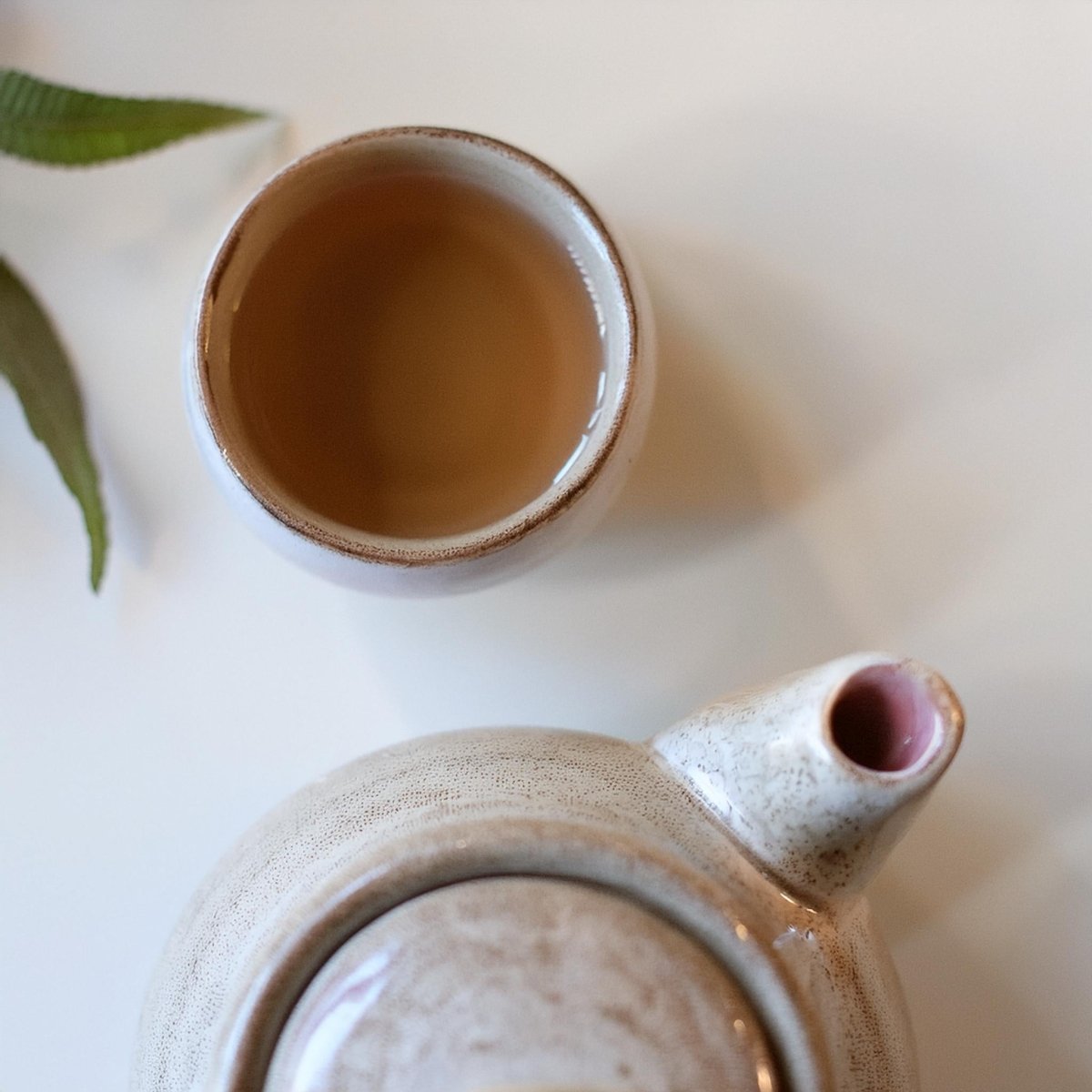 Tisane en vrac - Pomme & reine des prés - Tisane - Floèm