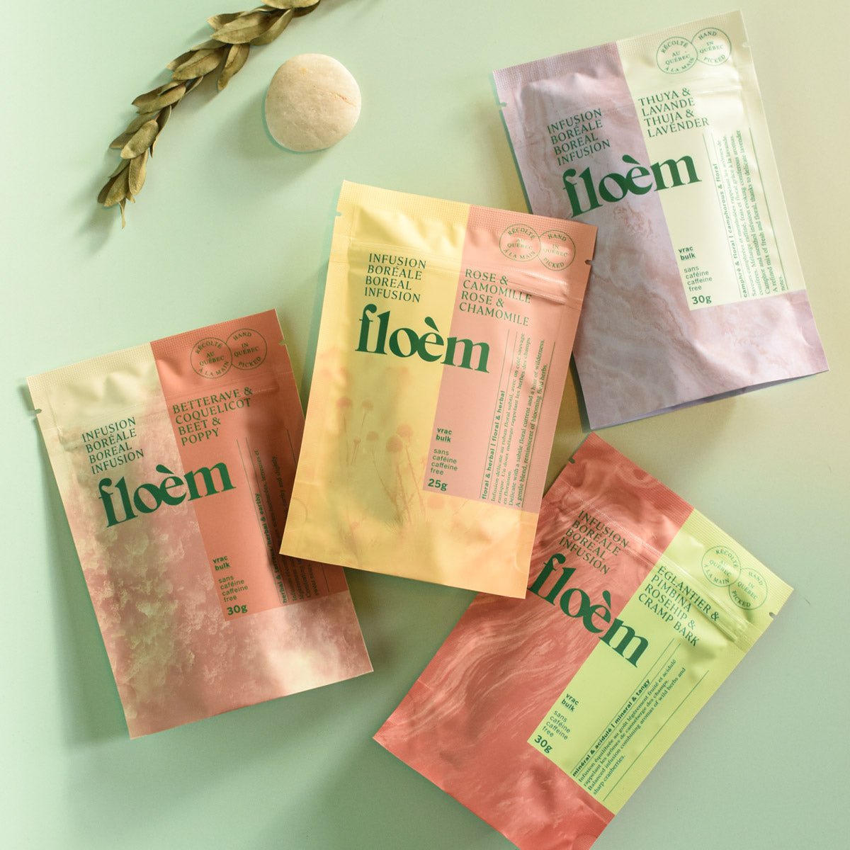 Tisane - Ensemble Relaxation - Tisane - Floèm