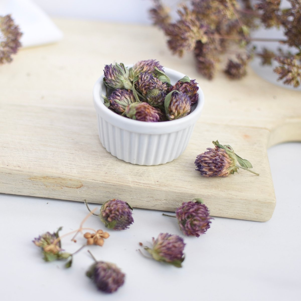 Trèfle rouge, fleur - Ingrédients - Floèm