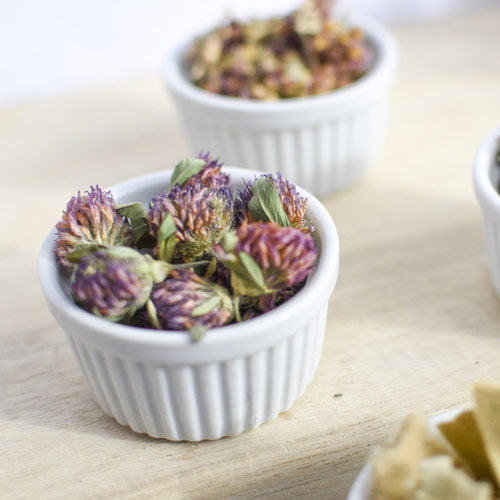 Fleur de trèfle