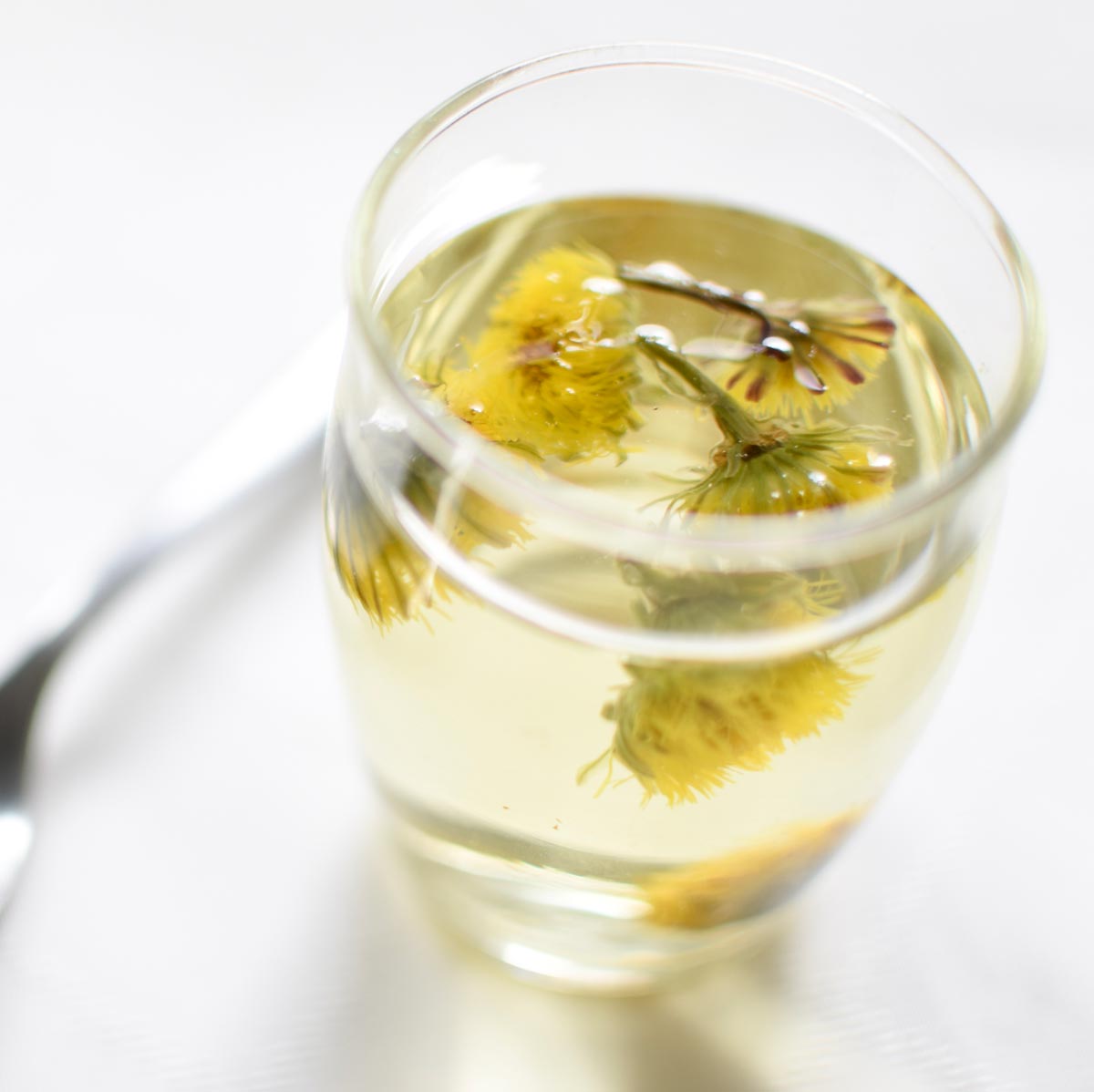 Infusion de fleur de tussilage