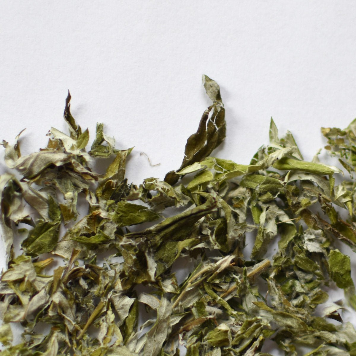 Armoise - Ingrédients - Floèm