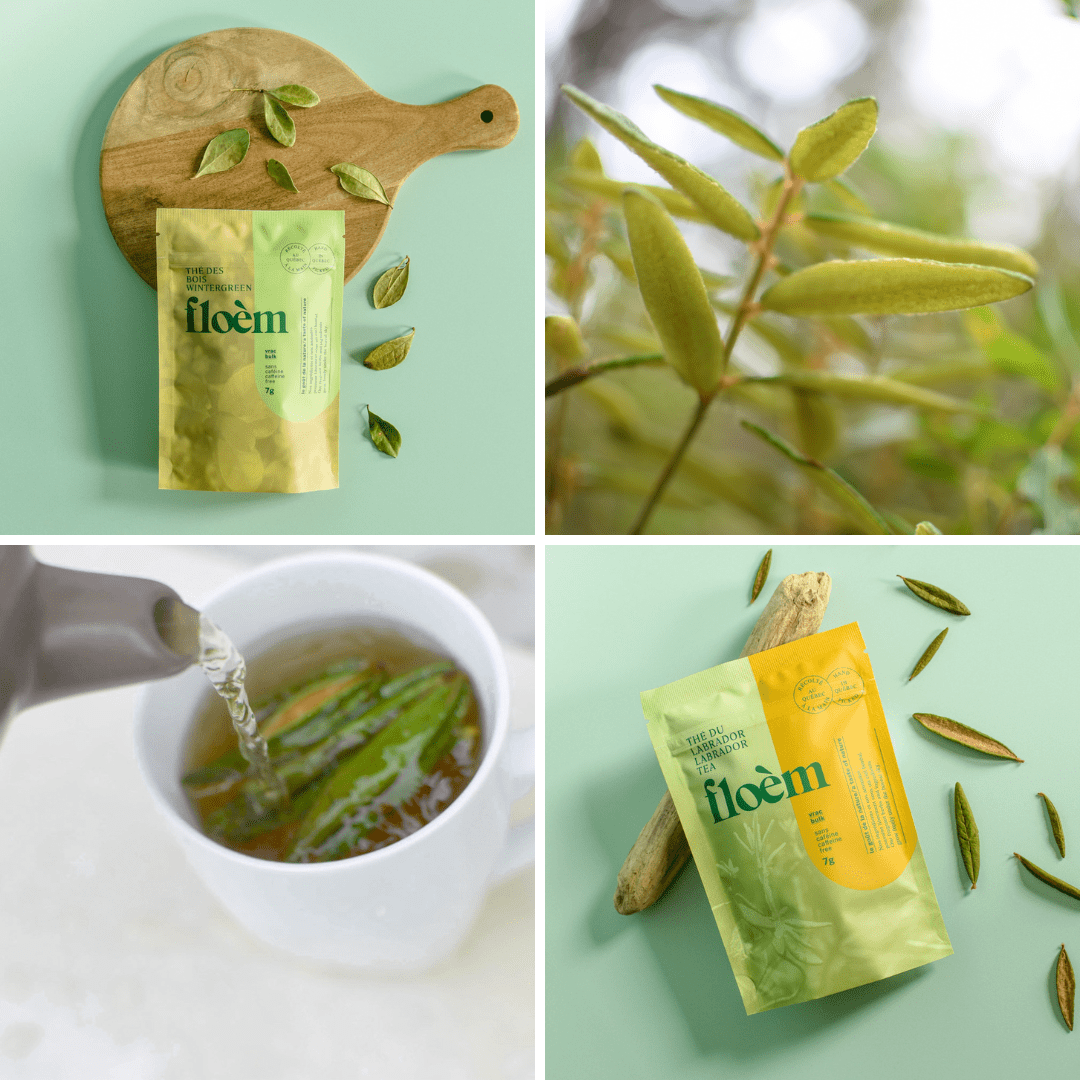 Ensemble de tisane - Ensemble complet, pack de variétés - Hide - Floèm