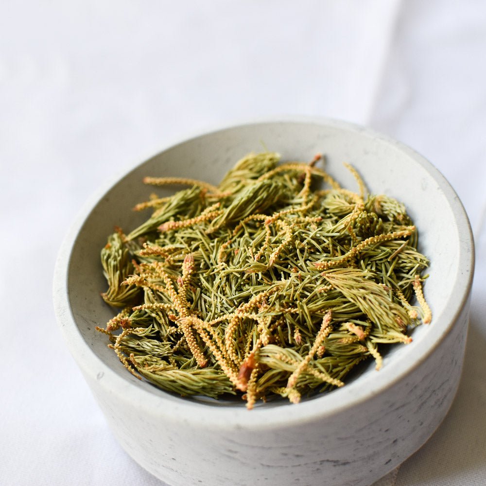 Épinette noire, pousse - Ingrédients - Floèm