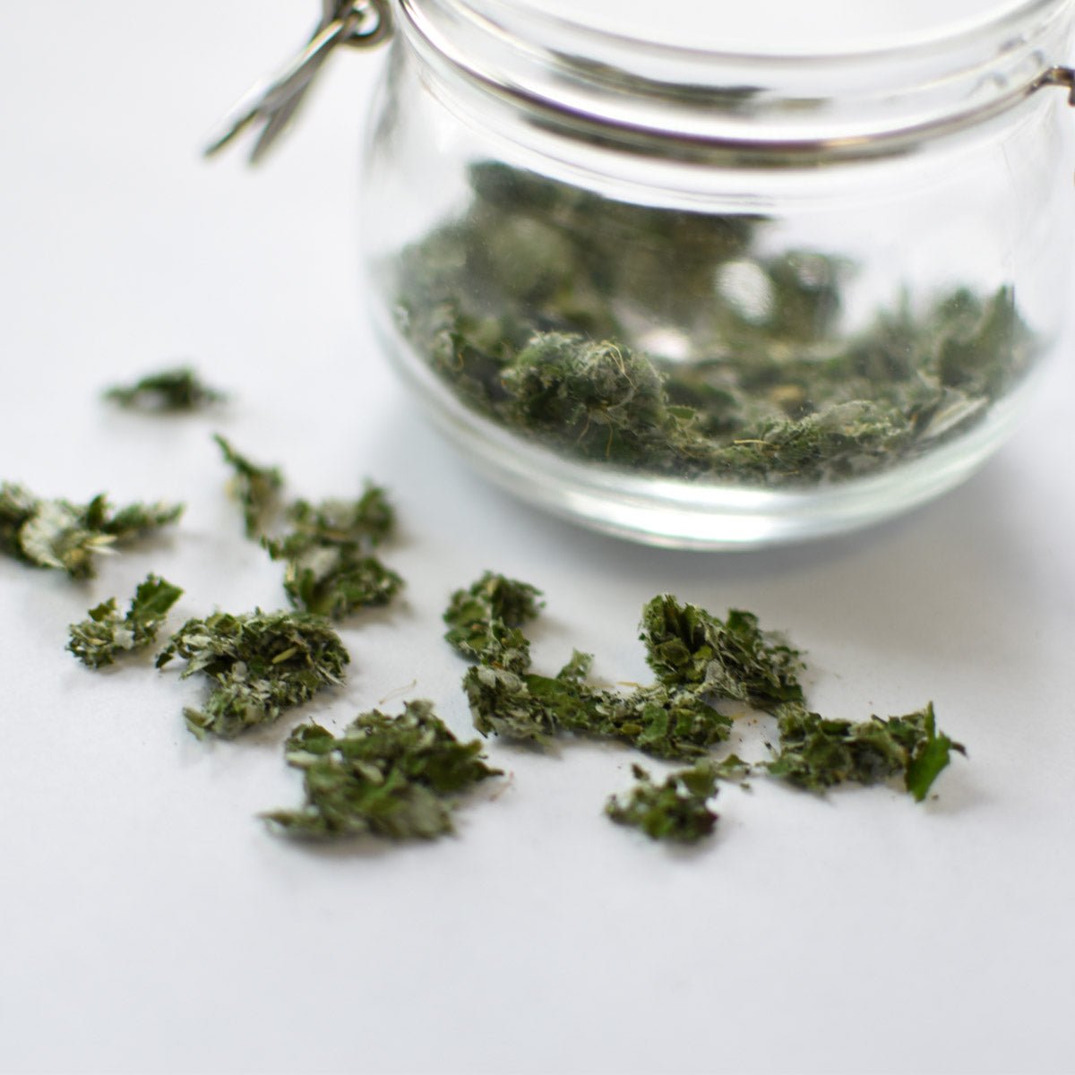 Framboisier, feuille - Ingrédients - Floèm