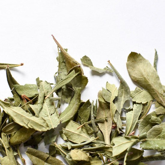 Myrique baumier, feuille - Ingrédients - Floèm