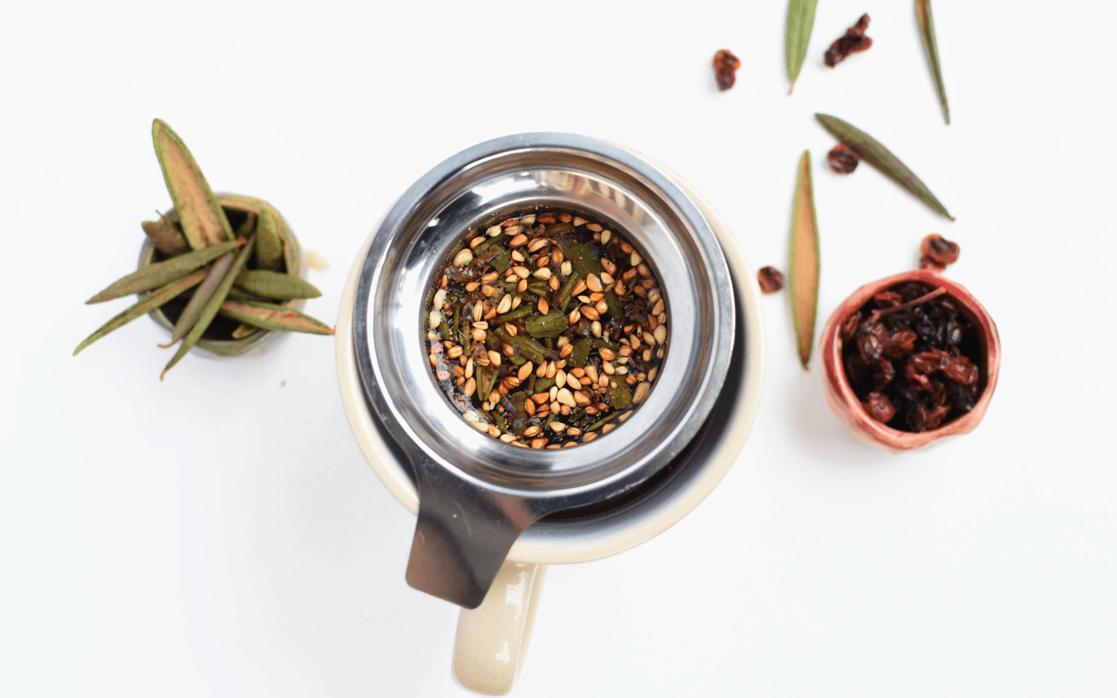 Qu’est-ce qu’une infusion boréale? - Floèm