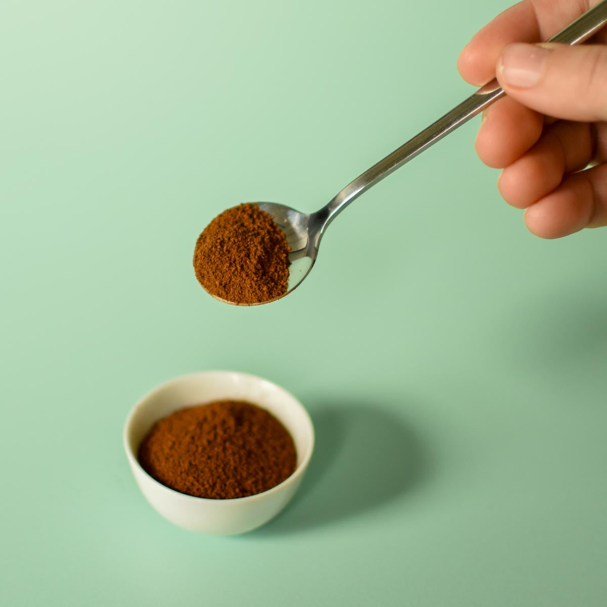 Poudre de chaga dans une cuillère