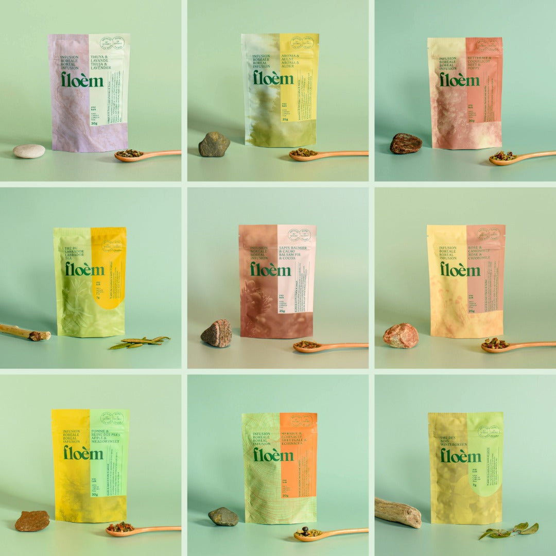 Ensemble nordique complet