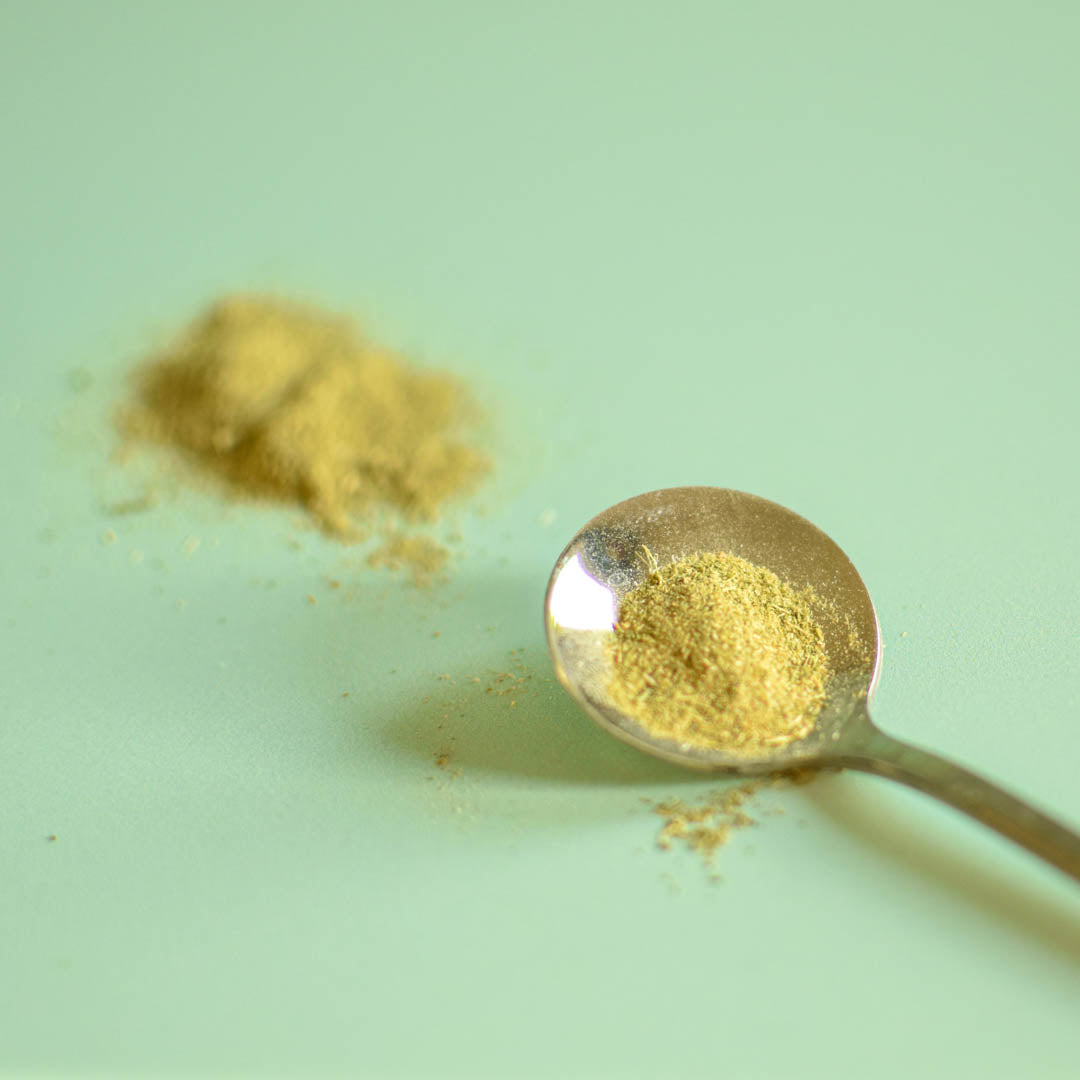 Mélilot en poudre séché avec cueillère