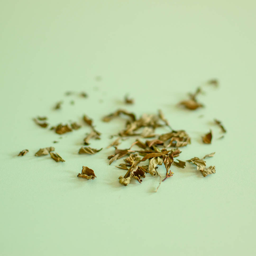 Menthe des champs séché