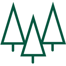 Pictogramme de trois sapins verts