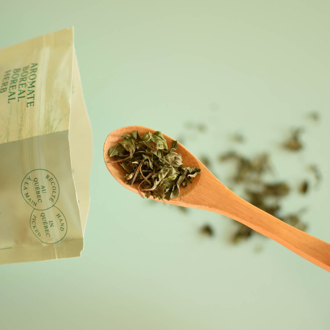 Menthe des champs séché dans cueillère