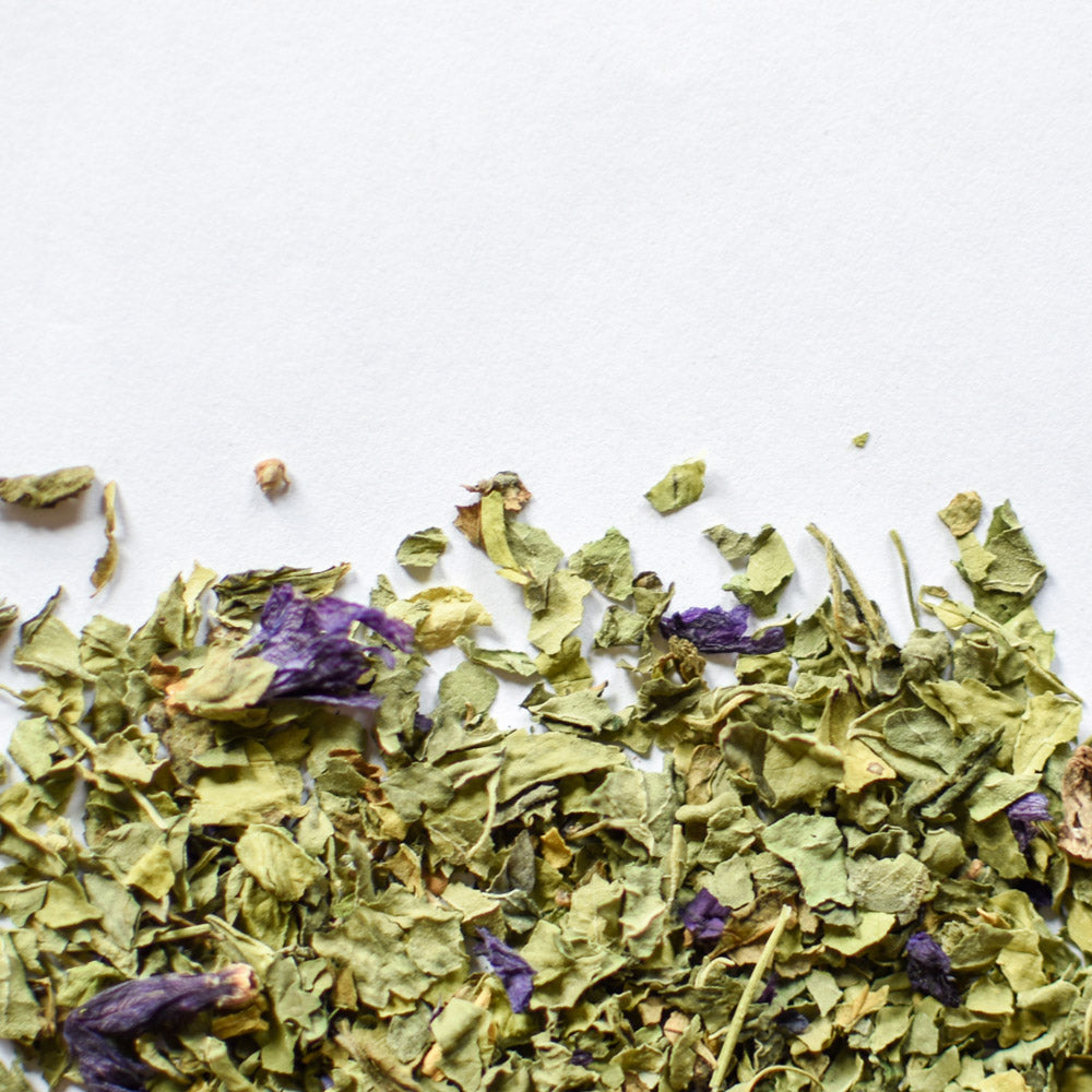Fleur et feuille de violette